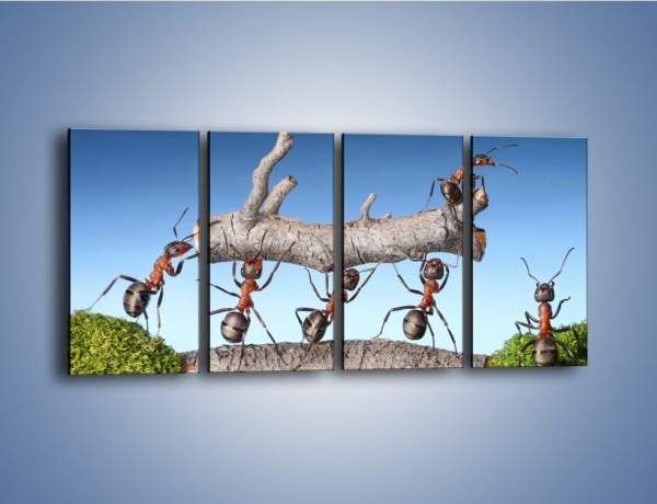 Obraz na płótnie – Pracowite jak mróweczki – czteroczęściowy Z133W1