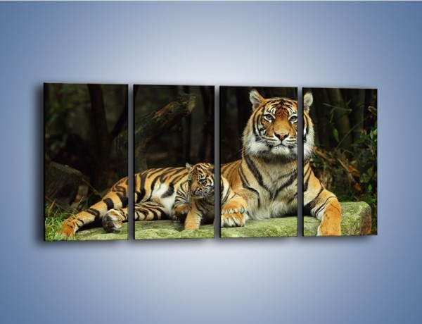 Obraz na płótnie – Tygrysia mamusia z maleństwem – czteroczęściowy Z138W1