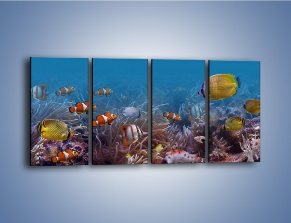 Obraz na płótnie – Ocean i jego kolorowi towarzysze – czteroczęściowy Z168W1