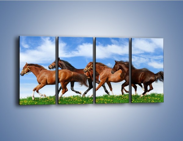 Obraz na płótnie – Galopujące stado brązowych koni – czteroczęściowy Z172W1