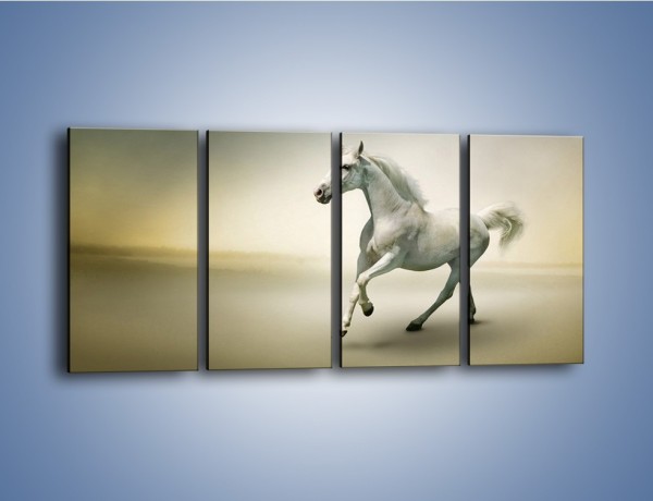 Obraz na płótnie – Samotny wieczór z białym koniem – czteroczęściowy Z175W1