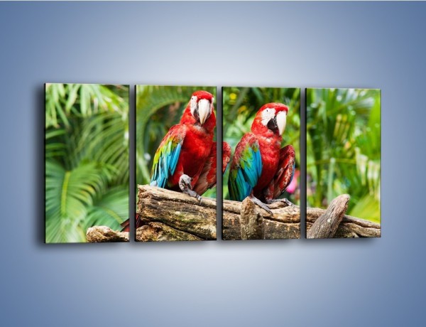 Obraz na płótnie – Papużki nierozłączki – czteroczęściowy Z188W1