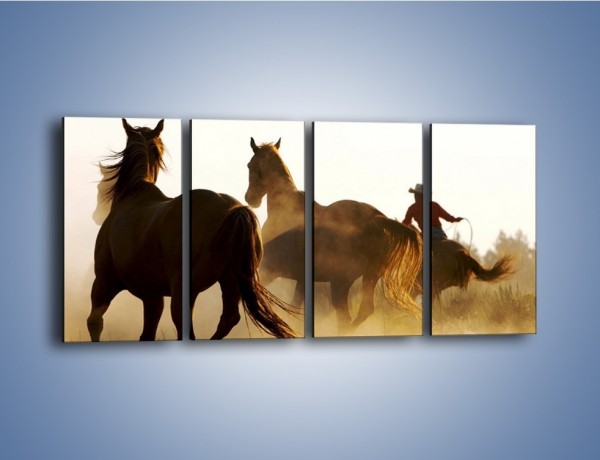 Obraz na płótnie – Cowboy wśród koni – czteroczęściowy Z206W1