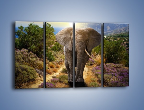Obraz na płótnie – Moc i potęga słonia – czteroczęściowy Z210W1