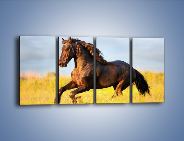Obraz na płótnie – Dziki koń i jego mięśnie – czteroczęściowy Z232W1