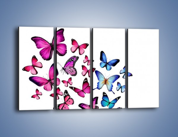 Obraz na płótnie – Rodzina kolorowych motyli – czteroczęściowy Z235W1