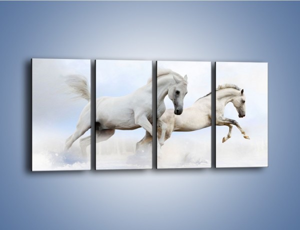 Obraz na płótnie – Białe konie i biały śnieg – czteroczęściowy Z239W1