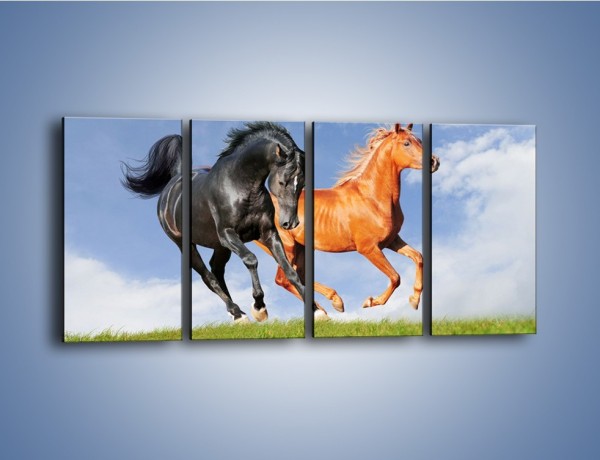 Obraz na płótnie – Czarny rudy i koń – czteroczęściowy Z241W1