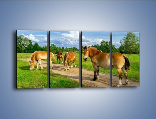 Obraz na płótnie – Konie z gospodarstwa – czteroczęściowy Z242W1