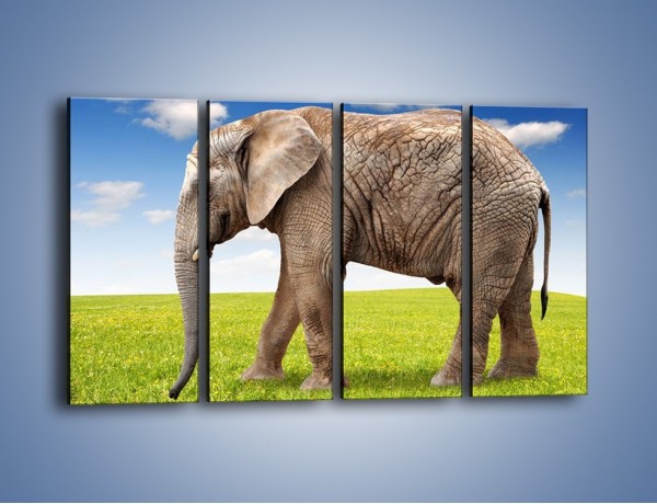 Obraz na płótnie – Odbicie słonia w wodnym lustrze – czteroczęściowy Z245W1