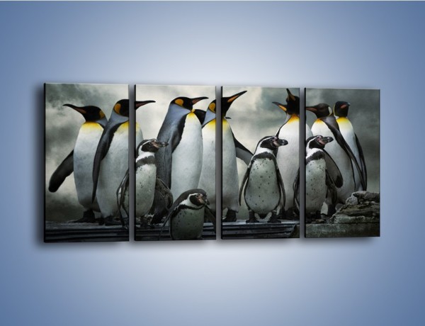 Obraz na płótnie – Pingwinki z madagaskaru – czteroczęściowy Z247W1