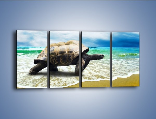 Obraz na płótnie – Jak tu nie kochać żółwi – czteroczęściowy Z251W1