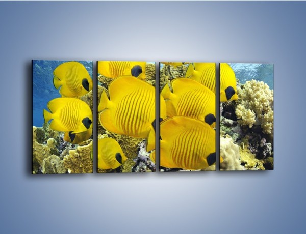 Obraz na płótnie – Słoneczne ryby w oceanie – czteroczęściowy Z252W1