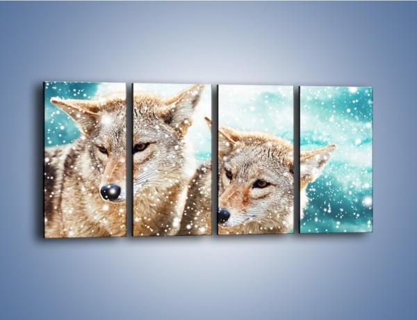 Obraz na płótnie – Zaciekawione wilki w płatkach śniegu – czteroczęściowy Z257W1