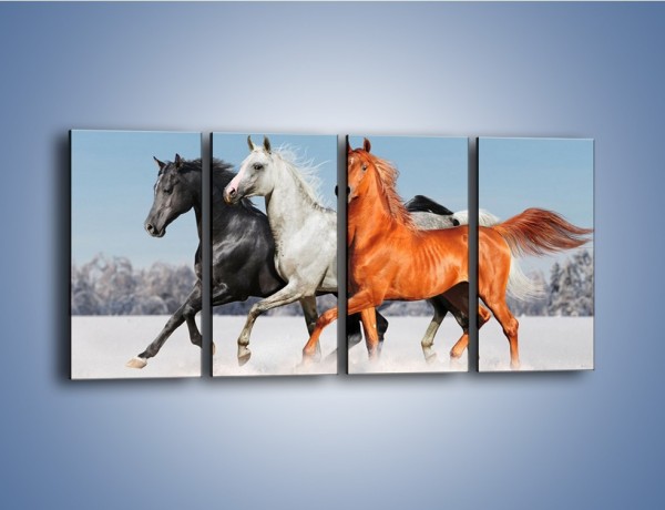 Obraz na płótnie – Konie w kolorach – czteroczęściowy Z261W1