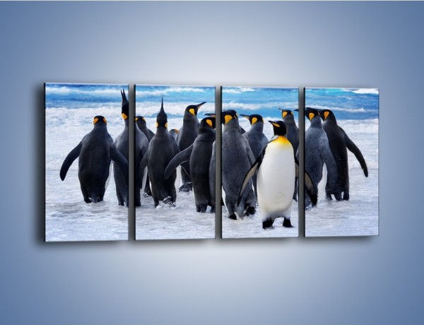 Obraz na płótnie – Narada pingwiniej rodziny – czteroczęściowy Z272W1