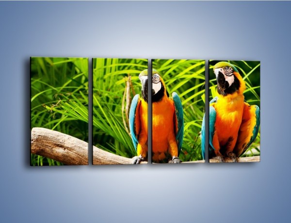 Obraz na płótnie – Papugi na tle paproci – czteroczęściowy Z278W1