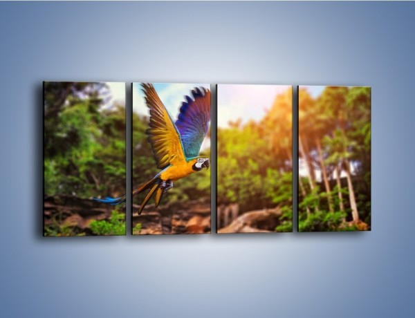 Obraz na płótnie – Kolorowa papuga w locie – czteroczęściowy Z280W1