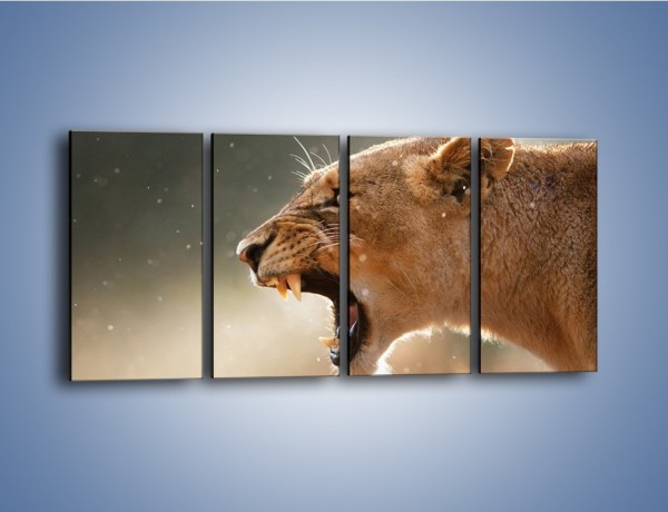 Obraz na płótnie – Ostrzeżenie lwiej samicy – czteroczęściowy Z299W1