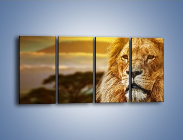 Obraz na płótnie – Dojrzały wiek lwa – czteroczęściowy Z303W1
