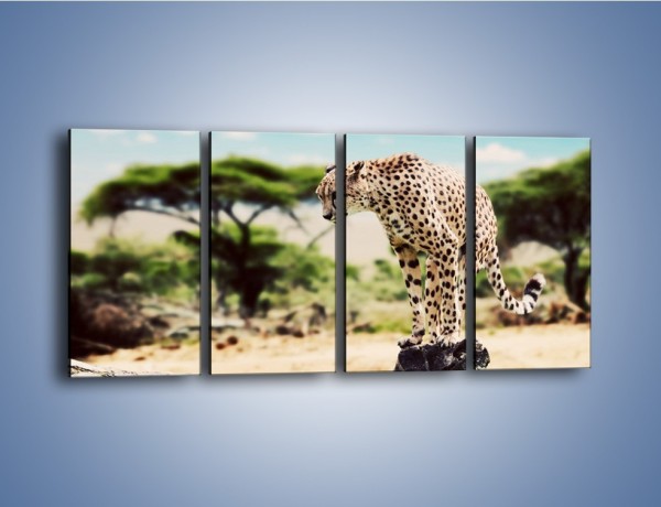 Obraz na płótnie – Cała zwinność geparda – czteroczęściowy Z315W1