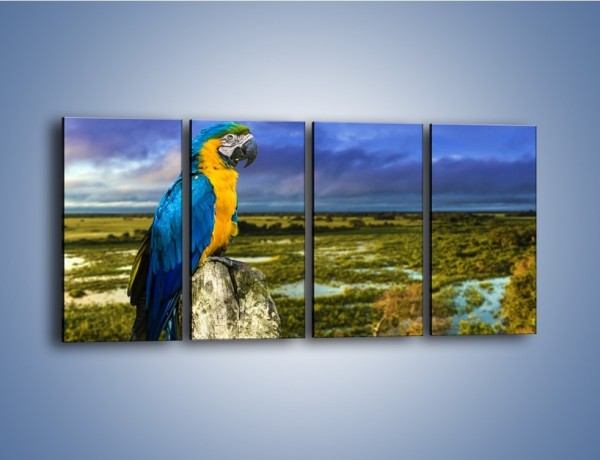 Obraz na płótnie – Papuga w kolorze wzburzonego nieba – czteroczęściowy Z320W1