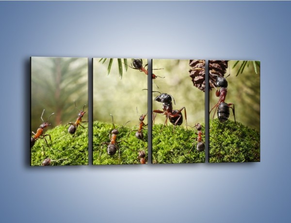 Obraz na płótnie – Praca mrówek od rana do wieczora – czteroczęściowy Z321W1