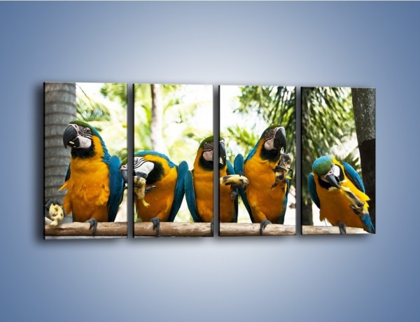 Obraz na płótnie – Piknik z papugami – czteroczęściowy Z322W1