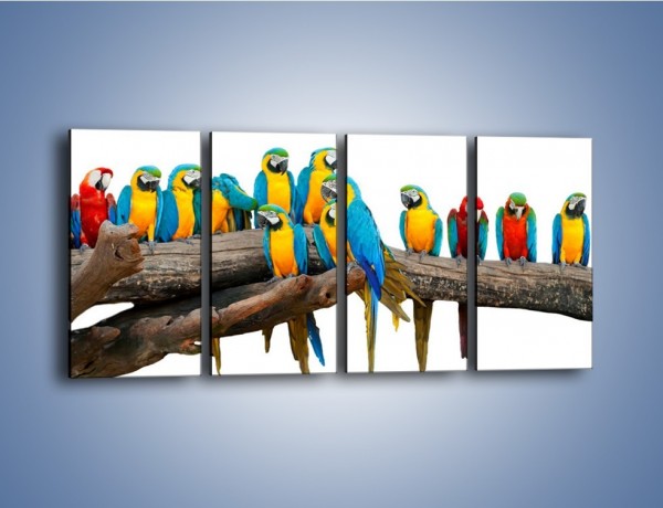 Obraz na płótnie – Kolorowe stado papug – czteroczęściowy Z326W1