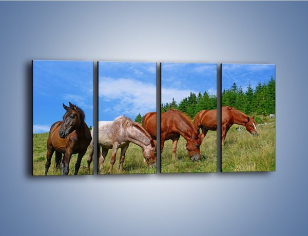 Obraz na płótnie – Spokój las i konie – czteroczęściowy Z330W1
