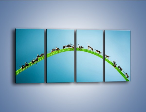 Obraz na płótnie – Mrówki na zielonym moście – czteroczęściowy Z336W1