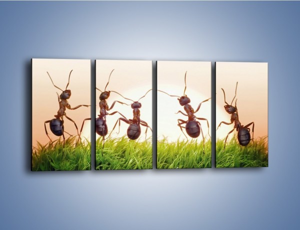 Obraz na płótnie – Taniec mrówek na trawie – czteroczęściowy Z338W1