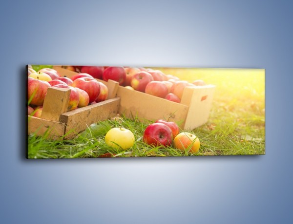 Obraz na płótnie – Jabłka skąpane w trawie – jednoczęściowy panoramiczny JN628