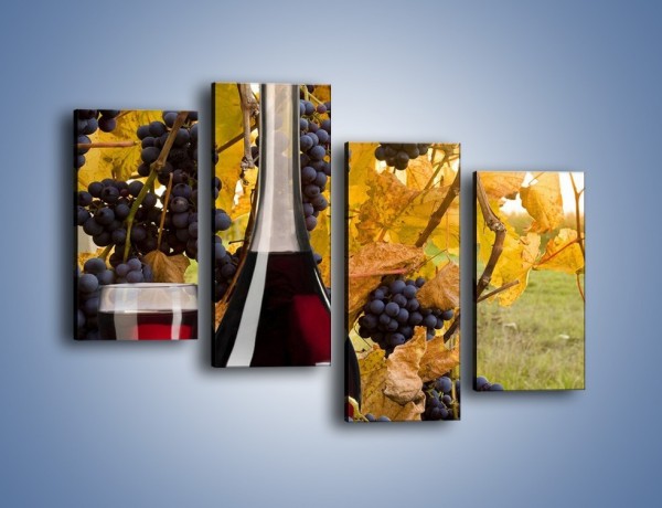 Obraz na płótnie – Wino wśród winogron – czteroczęściowy JN007W2
