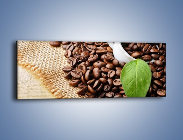 Obraz na płótnie – Liść na kawie – jednoczęściowy panoramiczny JN688