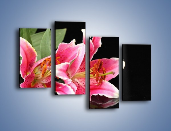 Obraz na płótnie – Rozwinięte lilie na czarnym tle – czteroczęściowy K007W2
