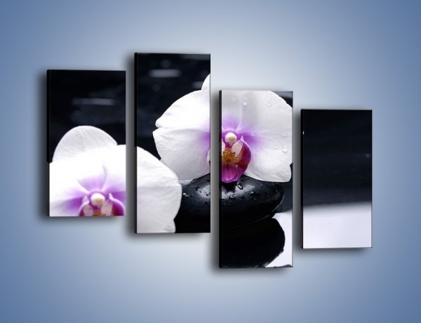Obraz na płótnie – Główki białych storczyków – czteroczęściowy K024W2