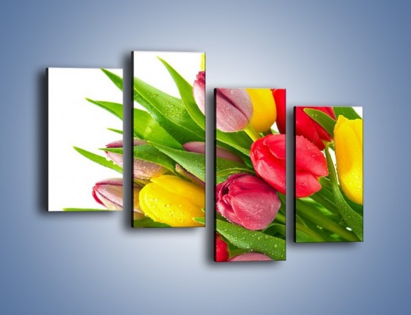 Obraz na płótnie – Kropelki wody na kolorowych tulipanach – czteroczęściowy K049W2