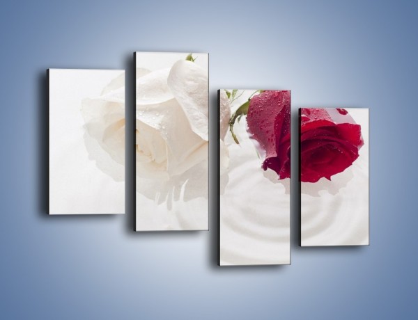 Obraz na płótnie – Róża biała czy czerwona – czteroczęściowy K077W2