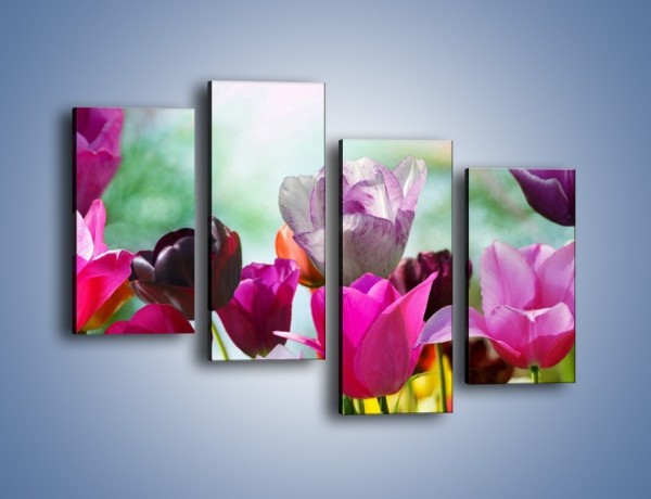 Obraz na płótnie – Tulipany o poranku – czteroczęściowy K081W2