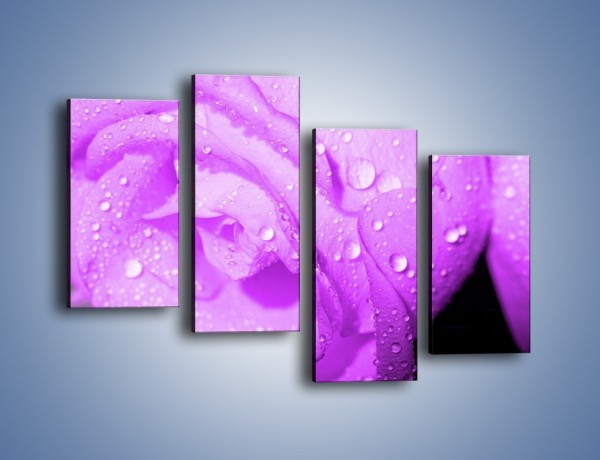 Obraz na płótnie – Jasno fioletowe skropione płatki – czteroczęściowy K1020W2