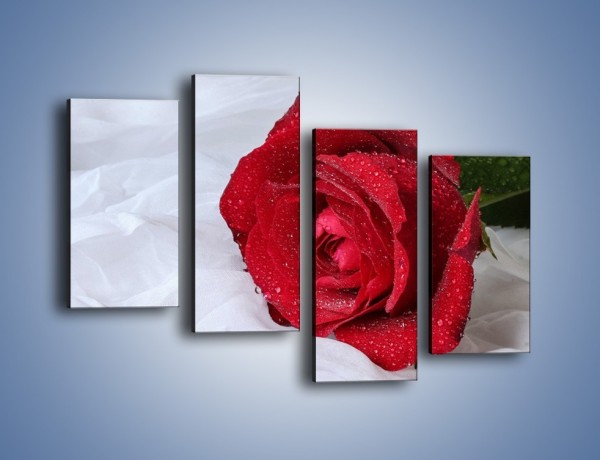 Obraz na płótnie – Bordowa róża na białej pościeli – czteroczęściowy K1023W2