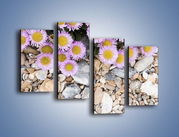 Obraz na płótnie – Kolorowe kamienie czy małe kwiatuszki – czteroczęściowy K146W2