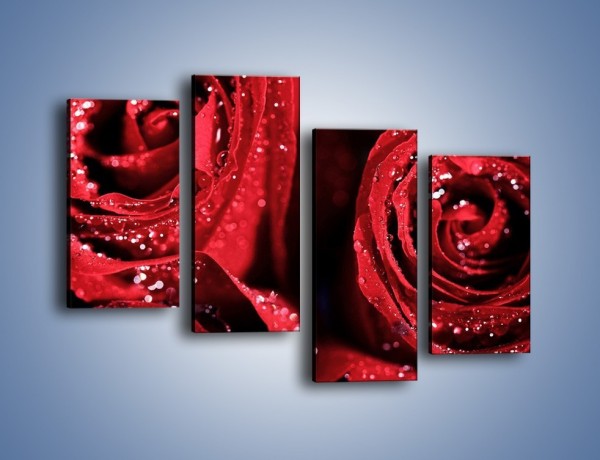 Obraz na płótnie – Róża czerwona jak wino – czteroczęściowy K170W2