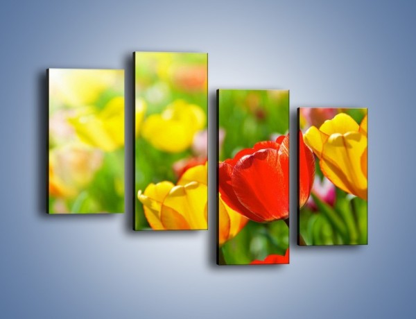 Obraz na płótnie – Wiosenne piękno w tulipanach – czteroczęściowy K213W2