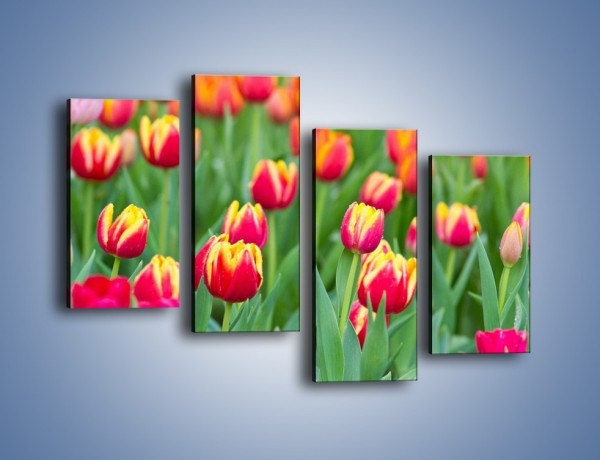 Obraz na płótnie – Spacer wśród czerwonych tulipanów – czteroczęściowy K231W2