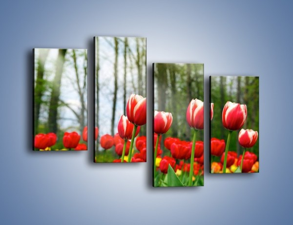Obraz na płótnie – Leśna polana pełna tulipanów – czteroczęściowy K319W2