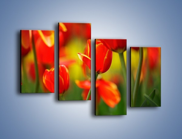 Obraz na płótnie – Wyraźny charakter tulipanów – czteroczęściowy K349W2