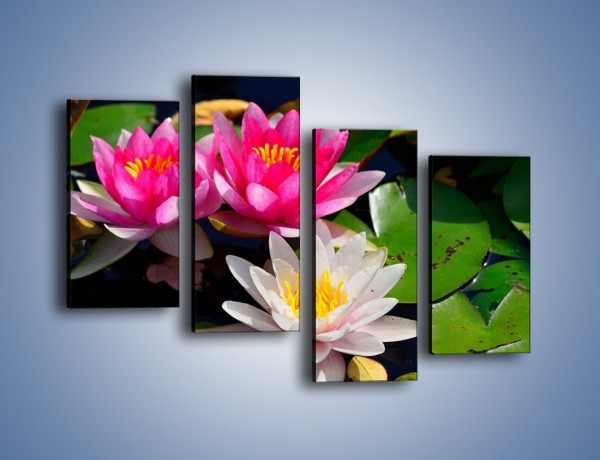 Obraz na płótnie – Pływające kwiaty – czteroczęściowy K392W2