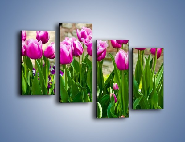 Obraz na płótnie – Tulipany w domowym ogródku – czteroczęściowy K409W2